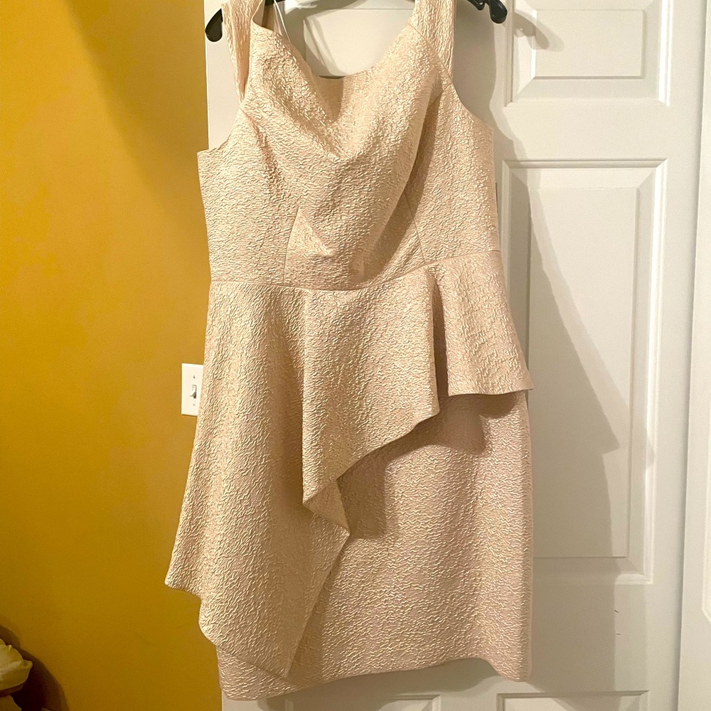 Never worn, fabulous sleeveless dress by Rickie Freeman for Teri John!